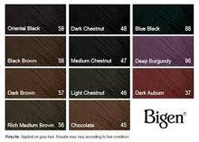 Load image into Gallery viewer, Permanent Powder Hair Color by Bigen
